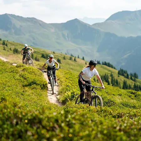 Appartementhaus Trixl *